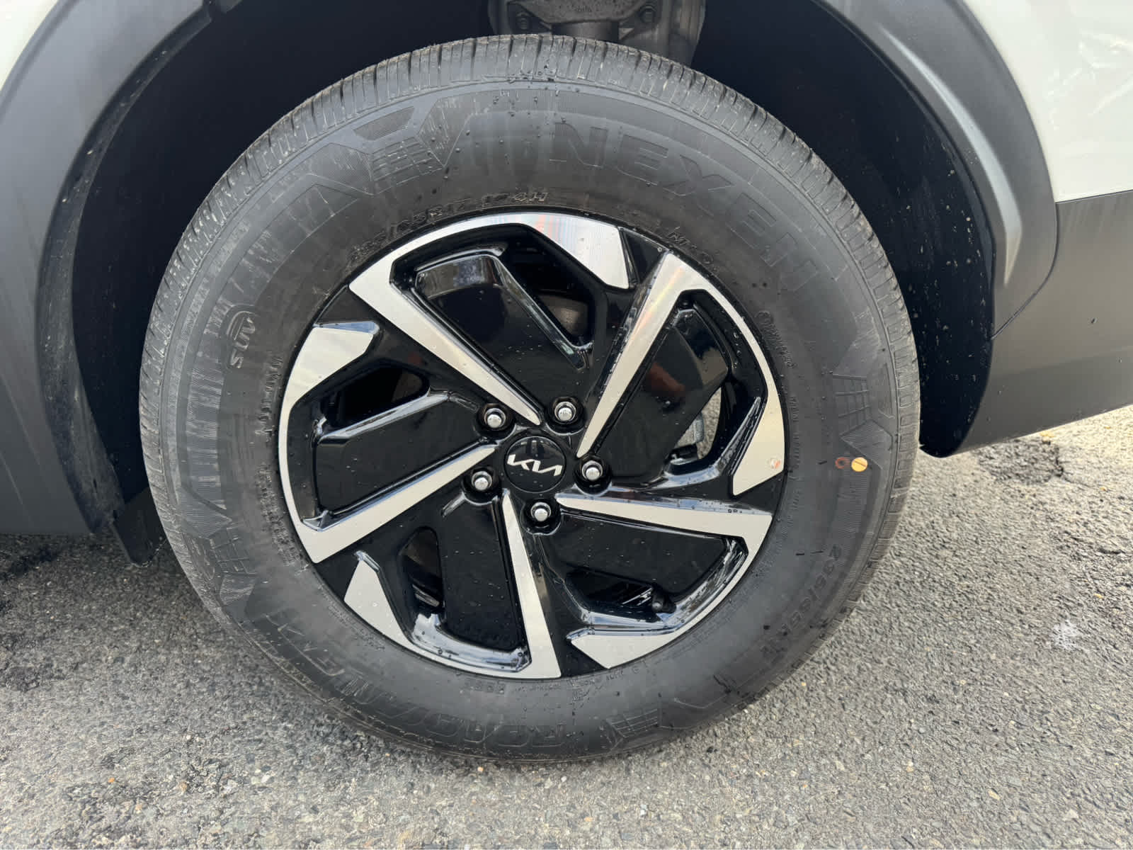 2025 Kia Sportage Hybrid LX